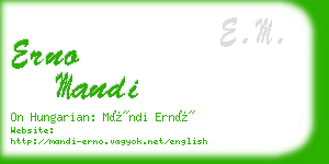 erno mandi business card